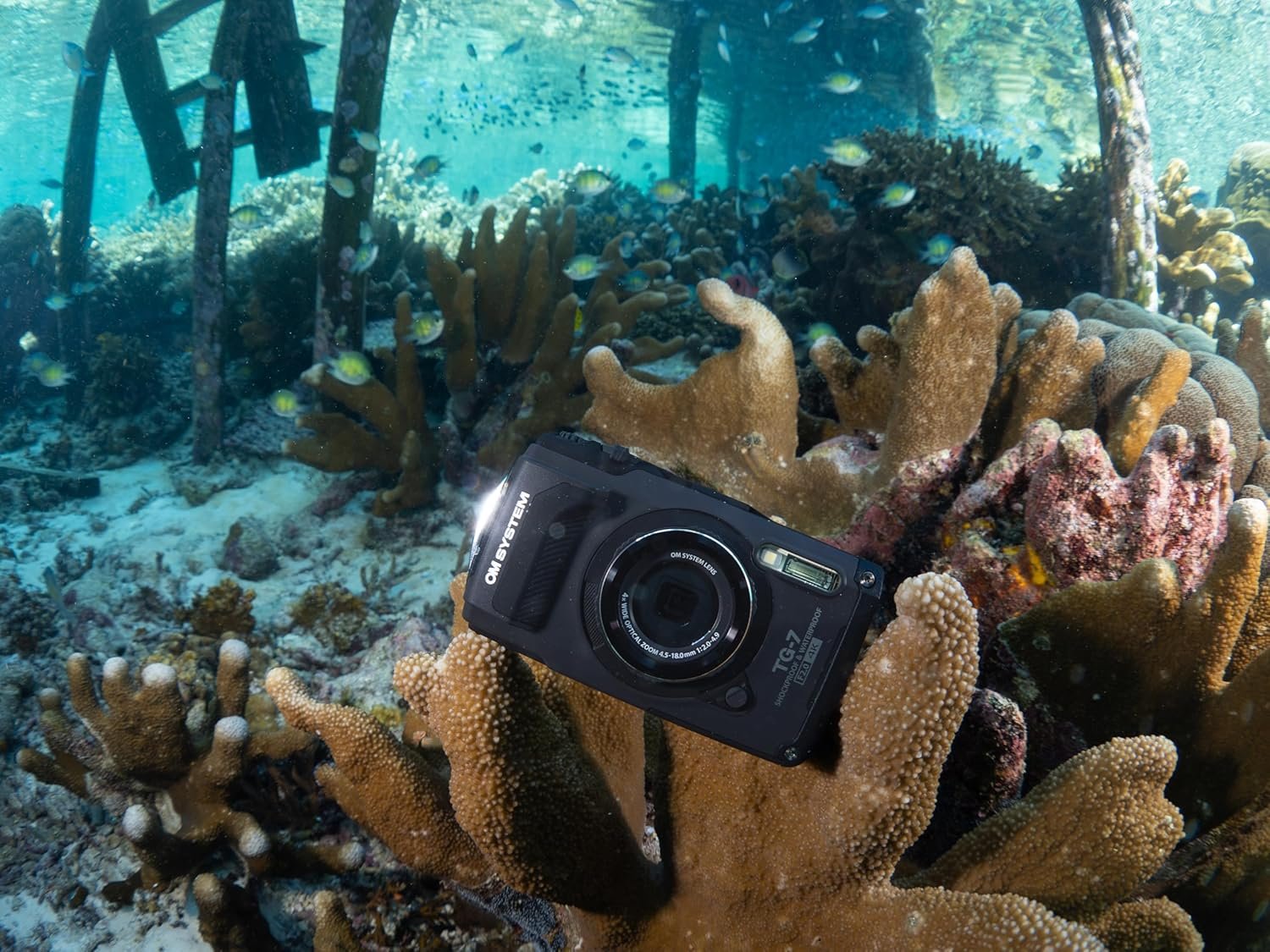 OM SYSTEM Tough TG-7 Black Underwater Camera, Waterproof, Freeze Proof, High Resolution Bright, 4K Video 44x Macro Shooting (Successor Olympus TG-6) - Image 7